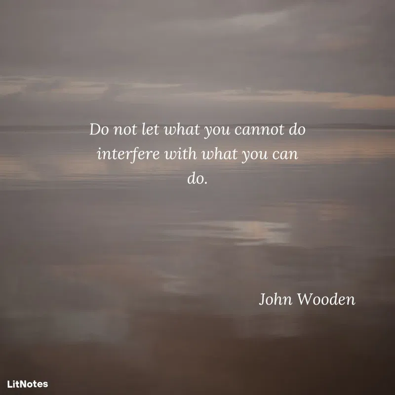 Do not let what you cannot do interfere with what you can do.
